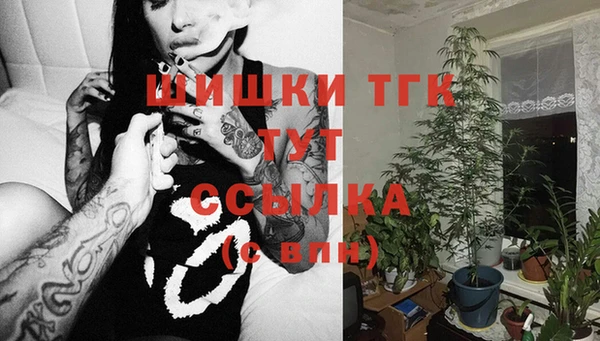 PSILOCYBIN Краснослободск