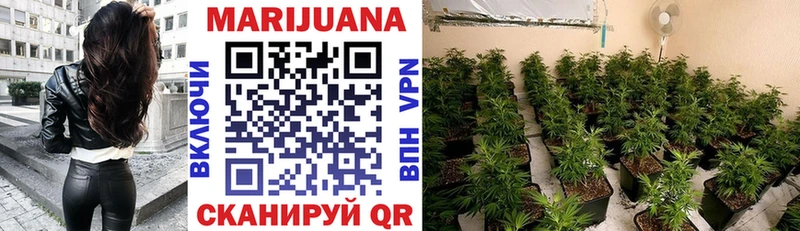 Конопля VHQ  Купить  Канаш 